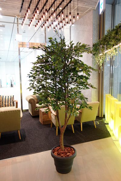 福岡市の人工樹木フェイク・観葉植物