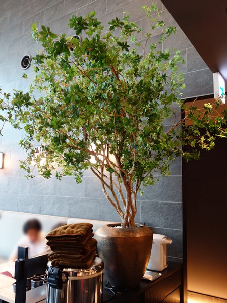 福岡市の人工樹木フェイク・観葉植物