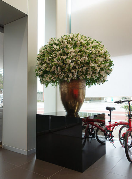 アウディショールームの花