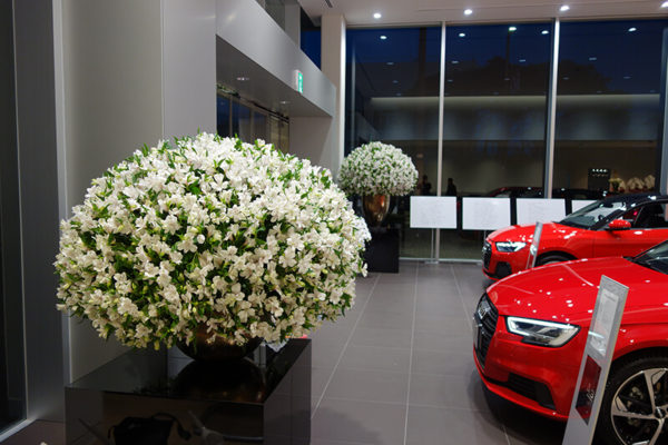 アウディショールームの花