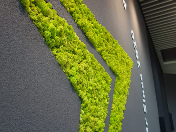 壁面緑化　福岡市中央区けやき通り花屋BAROQUEバロック