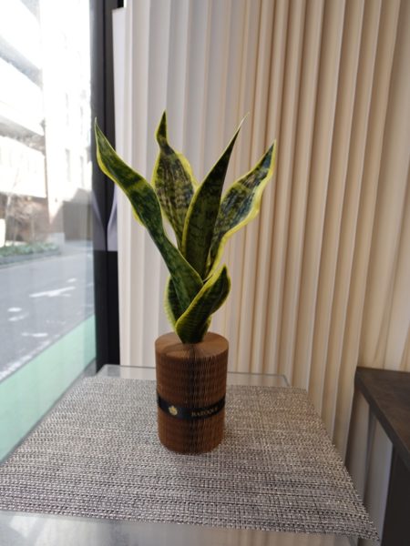 サンスベリア造花