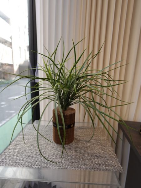 人工グラスブッシュ